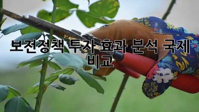 보전정책 투자 효과 분석: 국제 비교