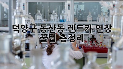 덕양구 동산동 렌트카 연장 꿀팁🍯 총정리!