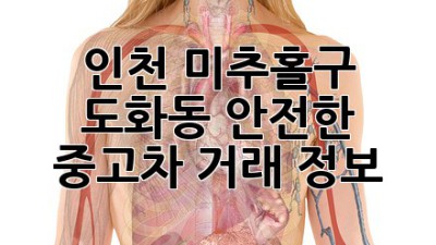 인천 미추홀구 도화동 안전한 중고차 거래 정보